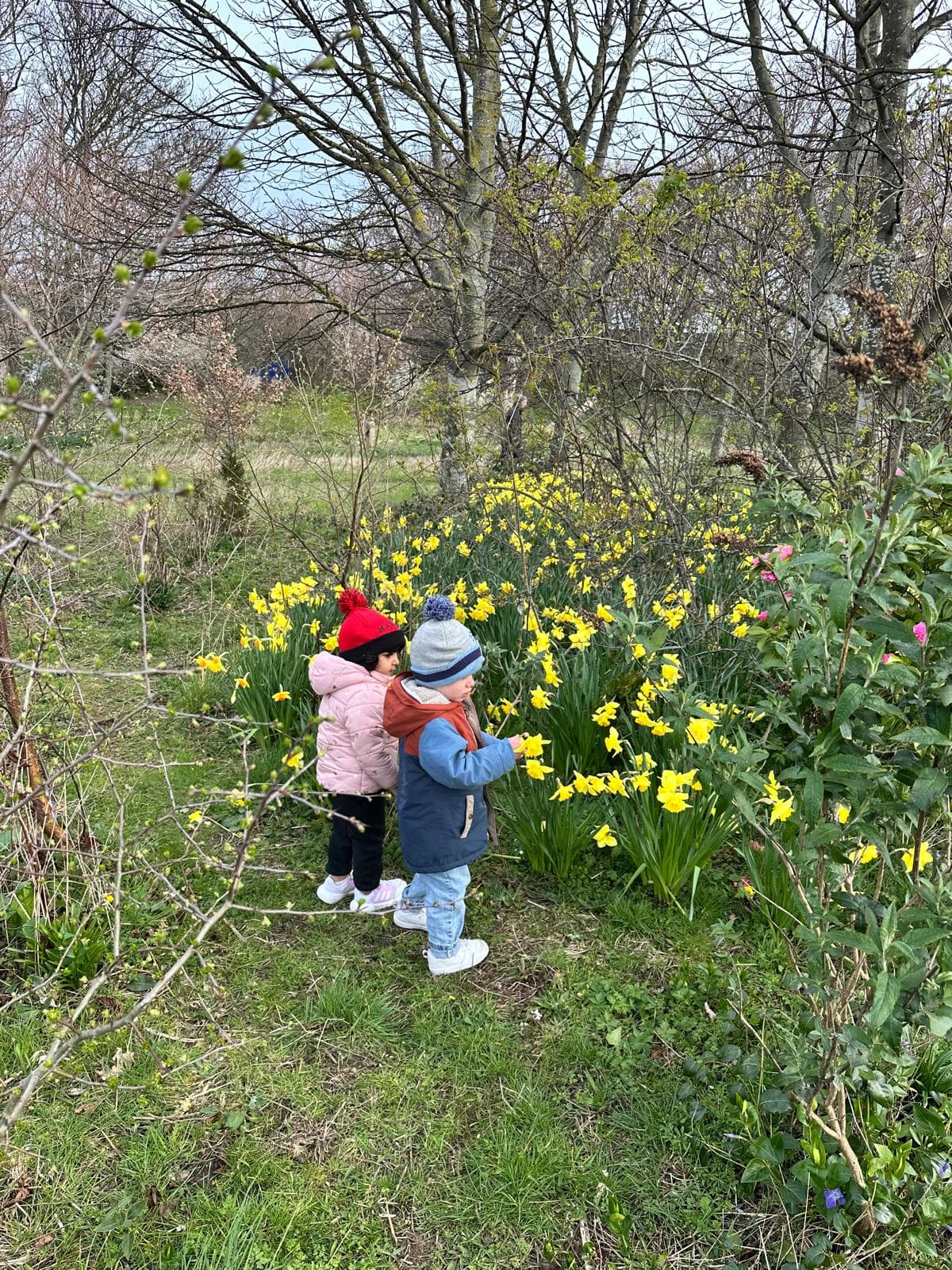 Madele Childminding — activity photo 23