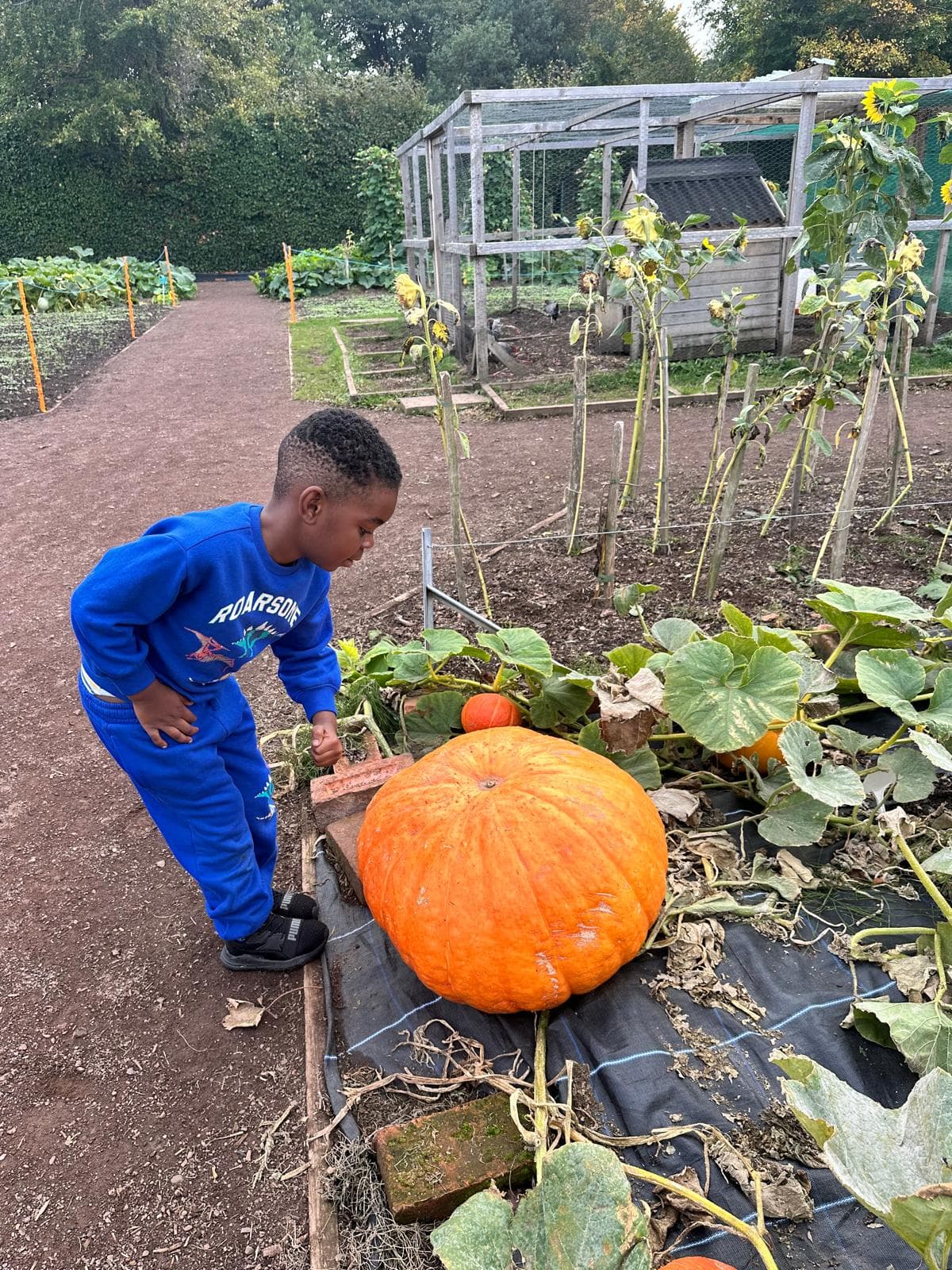 Madele Childminding — activity photo 25