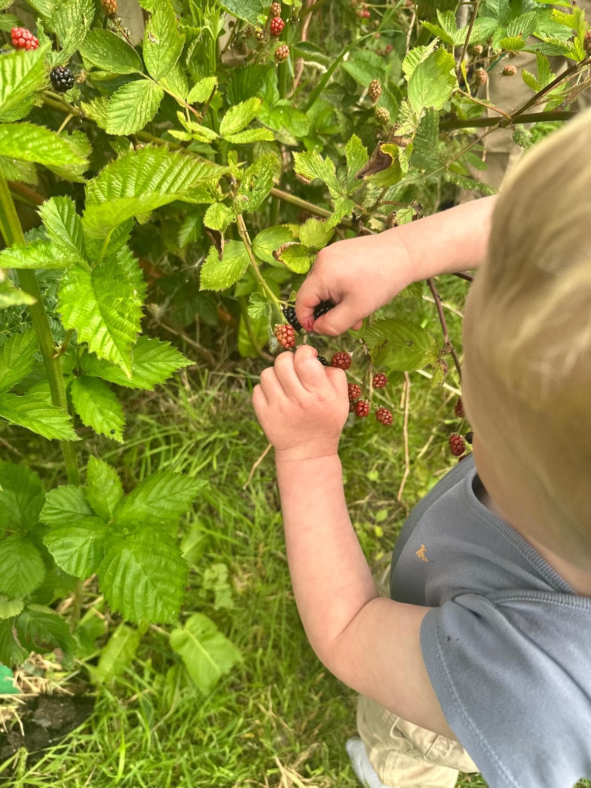 Madele Childminding — activity photo 26