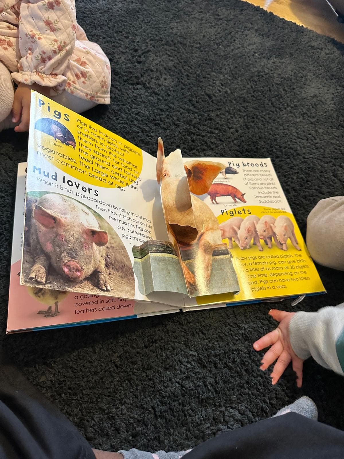 Madele Childminding — activity photo 34