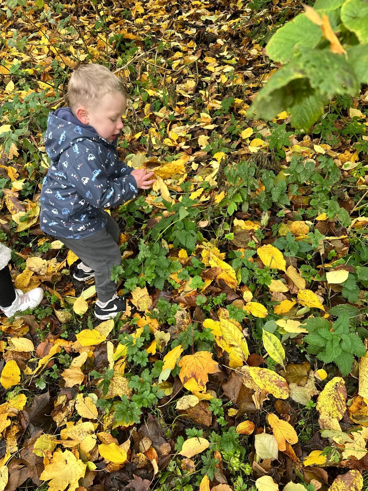 Madele Childminding — activity photo 62