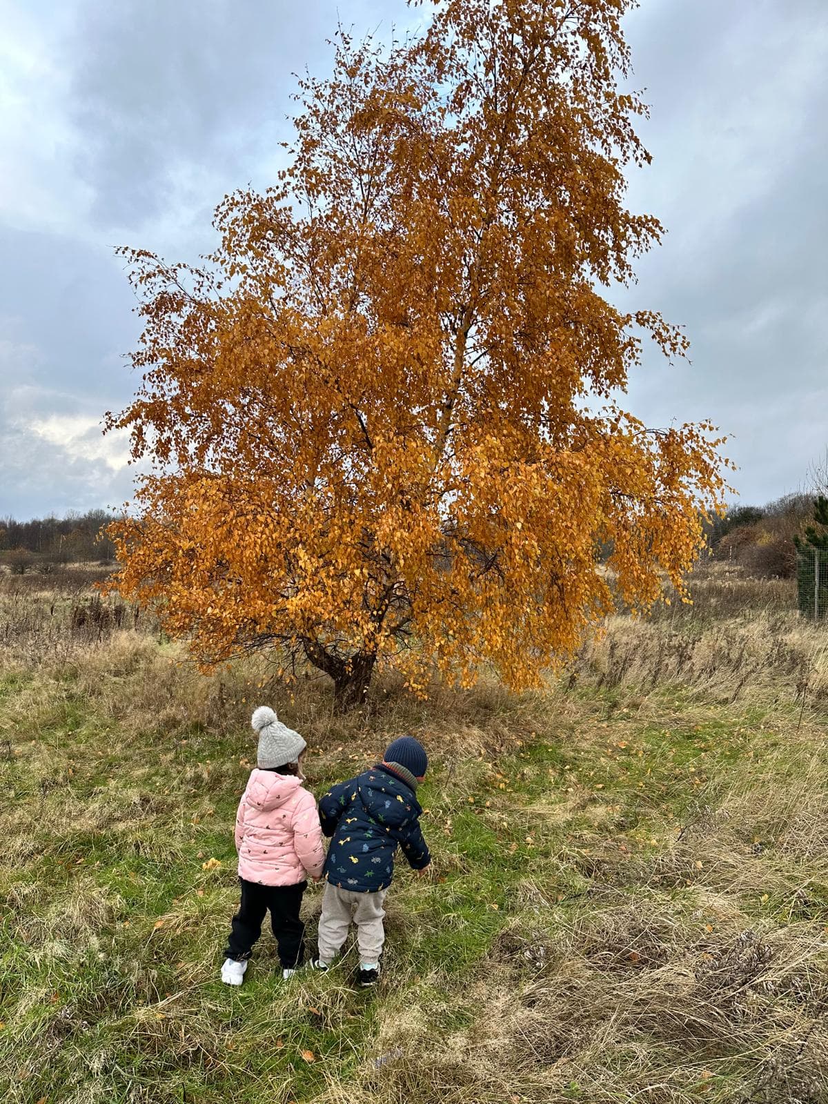 Madele Childminding — activity photo 63